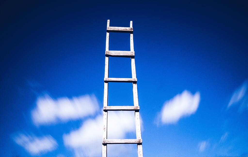 Climbing the (Wrong) Ladder